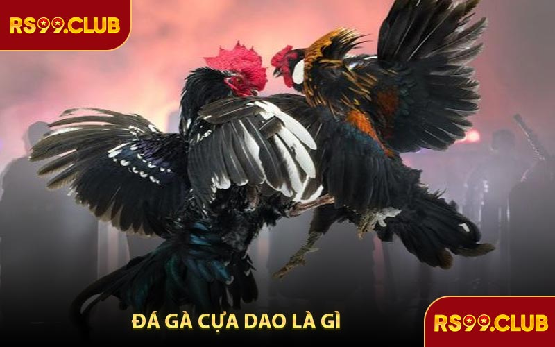 Đá Gà Cựa Dao Là Gì