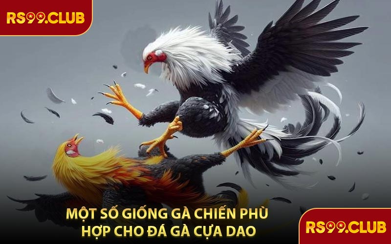 Một Số Giống Gà Chiến Phù Hợp Cho Đá Gà Cựa Dao